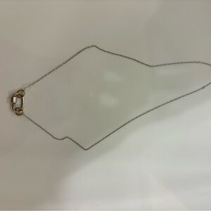 Marla Aaron Carabiner necklace. Baby silver lock with gold and silver chain.